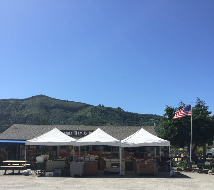 Carmel Valley Produce Stand