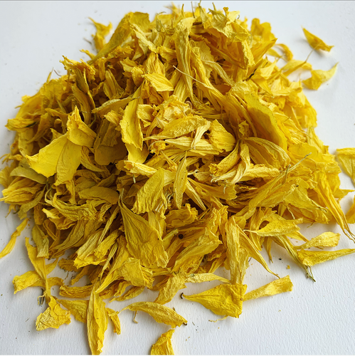 Marigold Yellow Petals